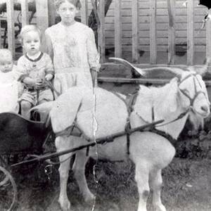 children with goat