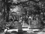 Bonaventure Cemetery