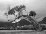 KuaLoa Ranch