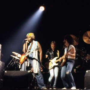 Black Cat Band